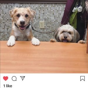 Meet your Posher, Lori